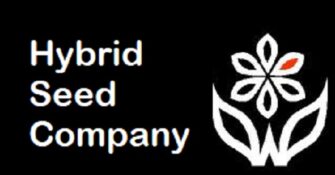 Hybrid Seed Co logo